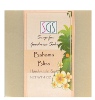 Bahama Bliss Natural Soap *SALE