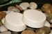 Patchouli Shaving Soap